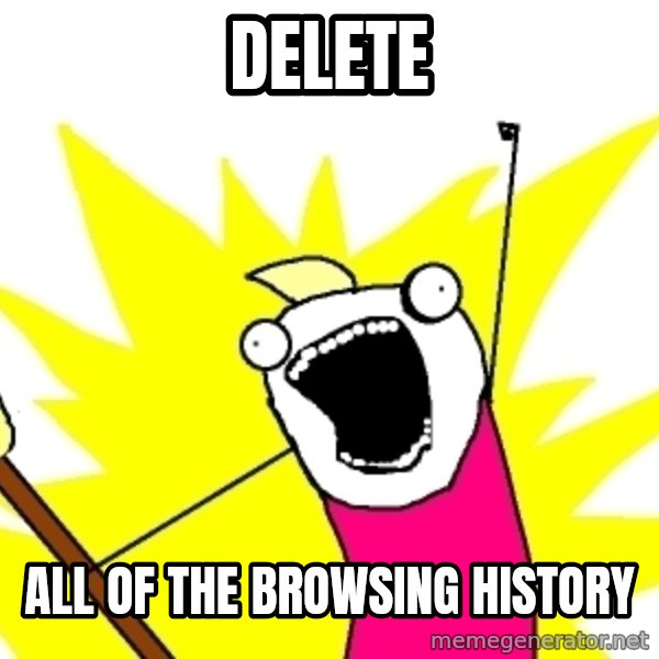 X ALL THE THINGS meme: DELETE / ALL OF THE BROWSING HISTORY