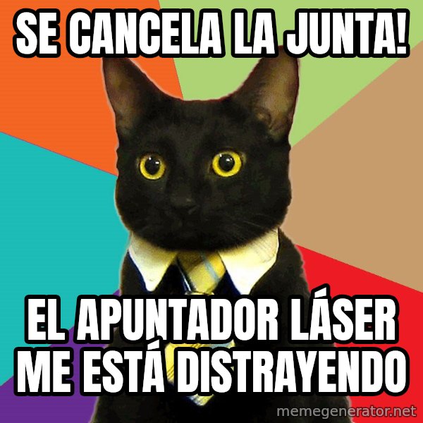 Business Cat meme: Se cancela la Junta! / El apuntador láser me está distrayendo