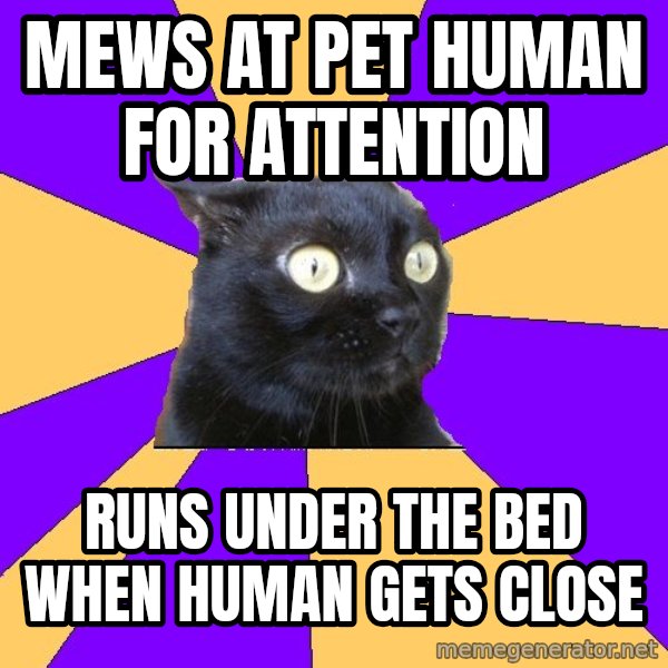 Anxiety Cat meme: mews at pet human for attention / runs under the bed when human gets close