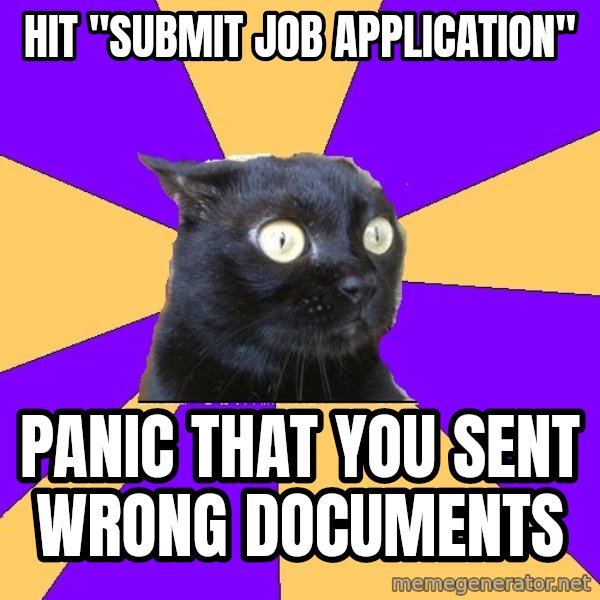 Anxiety Cat meme: HIT "SUBMIT JOB APPLICATION" / PANIC THAT YOU SENT WRONG DOCUMENTS