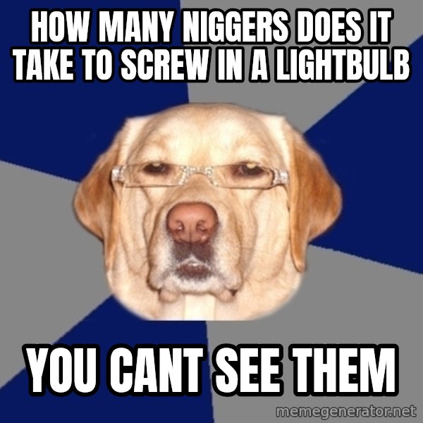 Racist Dawg meme: how many niggers does it take to screw in a lightbulb / you cant see them