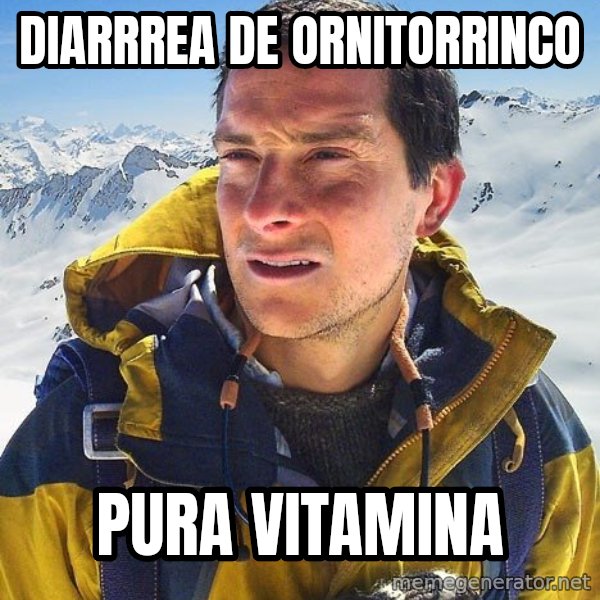 Bear Grylls Loneliness meme: diarrrea de ornitorrinco / pura vitamina