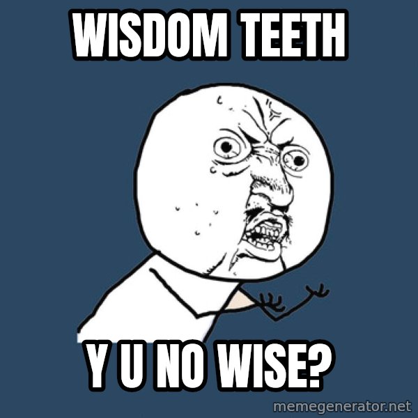 Y U No meme: wisdom teeth / y u no wise?