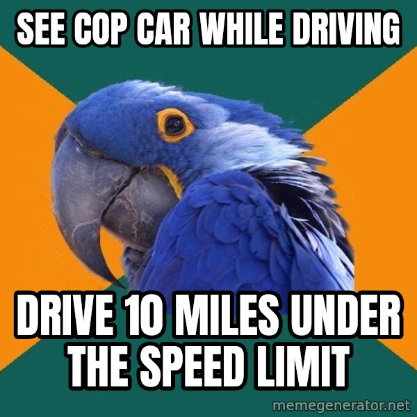 Paranoid Parrot meme: see cop car while driving / drive 10 miles under the speed limit
