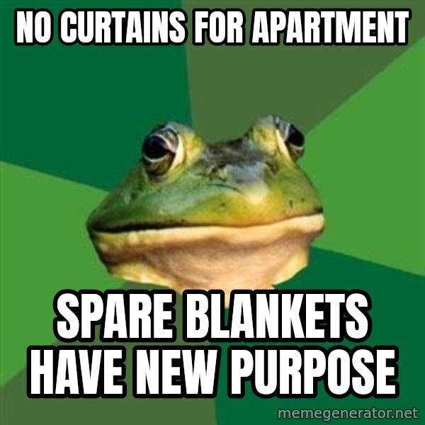 Foul Bachelor Frog meme: no curtains for apartment / spare blankets have new purpose