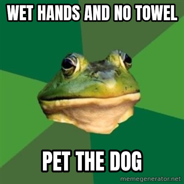 Foul Bachelor Frog meme: wet hands and no towel / pet the dog