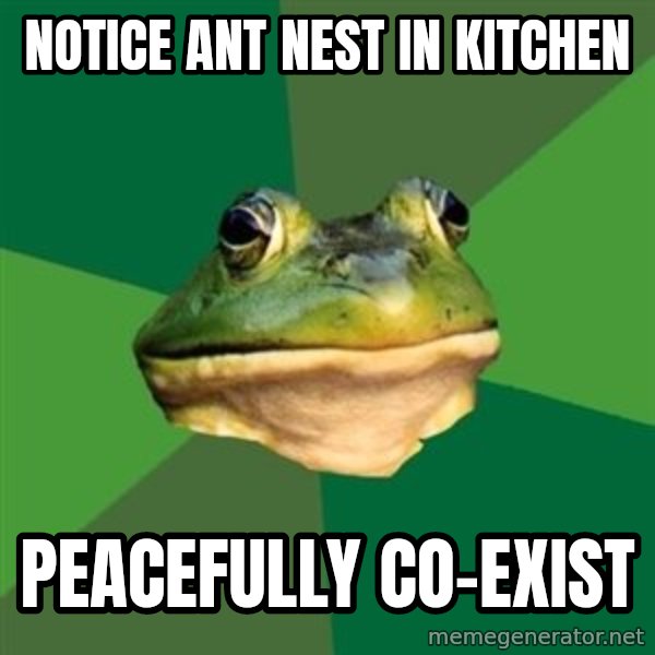 Foul Bachelor Frog meme: notice ant nest in kitchen / peacefully co-exist