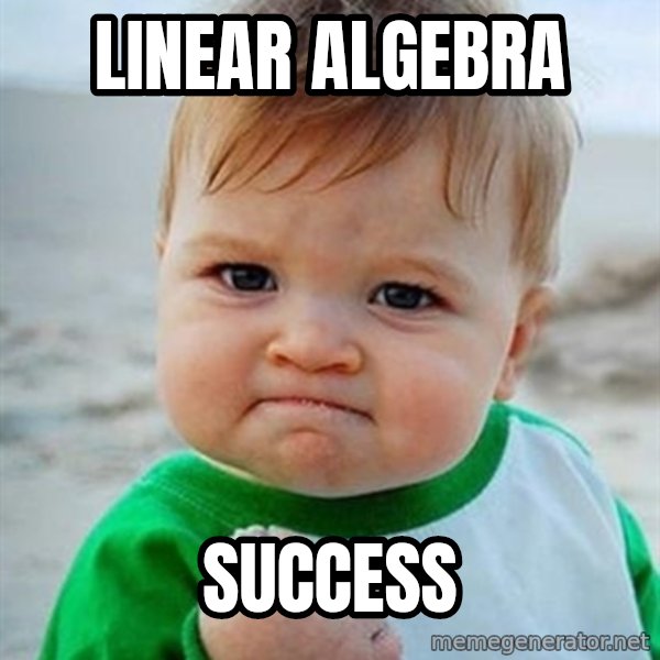 Victory Baby meme: LINEAR ALGEBRA / SUCCESS
