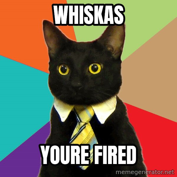 Business Cat meme: whiskas / youre fired