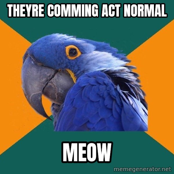 Paranoid Parrot meme: THEYRE COMmING ACT NORMAL / meow