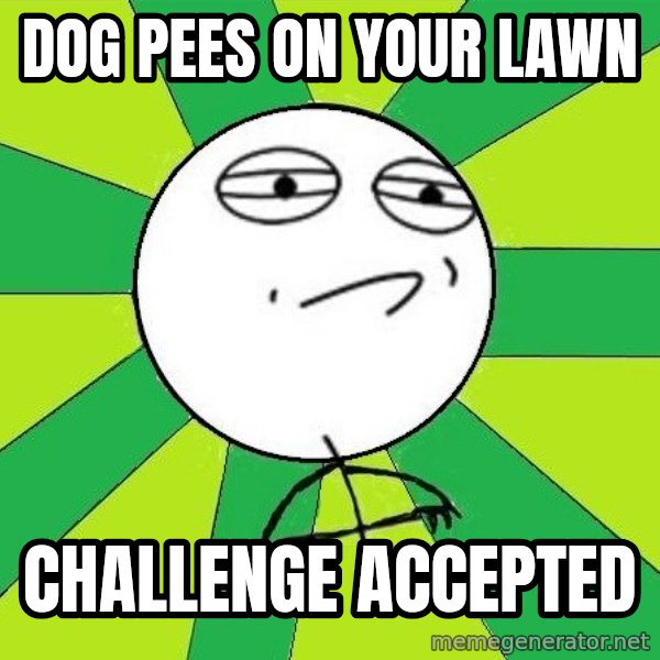 Challenge Accepted 2 meme: Dog pees on your lawn / Challenge accepted