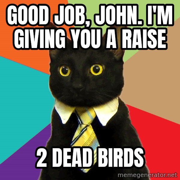 Business Cat meme: Good job, John. I'm givIng you a raise / 2 Dead Birds