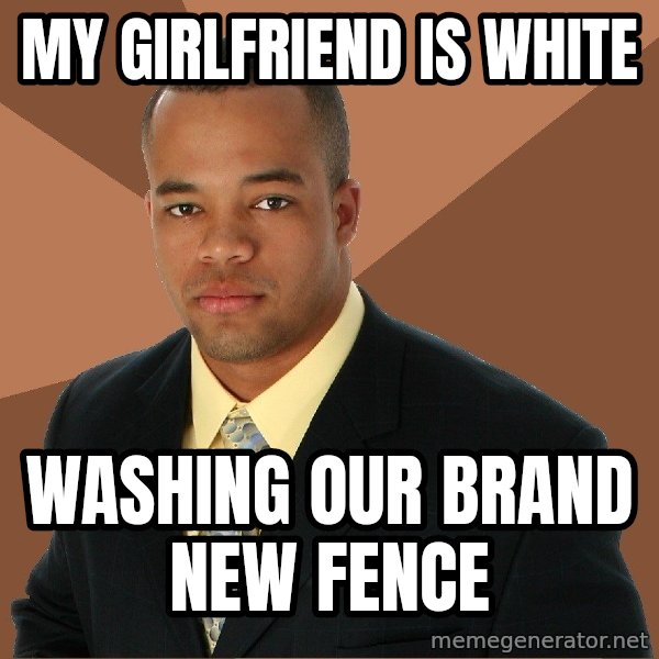 Successful Black Man meme: My Girlfriend IS white / washing our brand new fence
