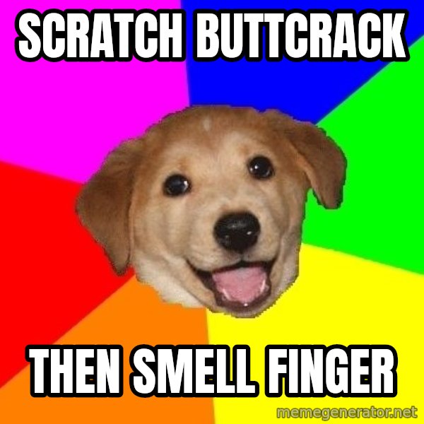 Advice Dog meme: SCRATCH BUTTCRACK / then SMELL FINGER