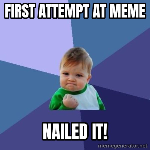 Success Kid meme: First attempt at Meme / nailed it!