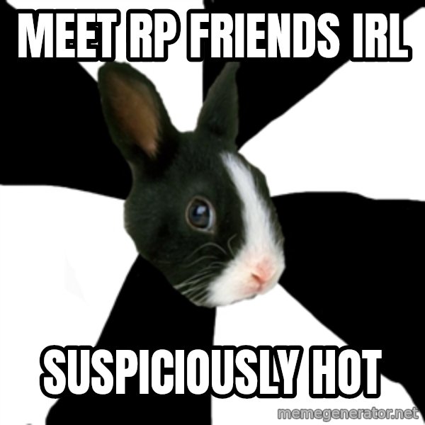 Roleplaying Rabbit meme: Meet rp friends irl / suspiciously hot