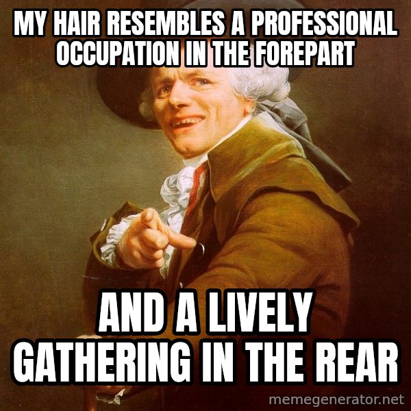 Joseph Ducreux meme: My hair resembles a professional occupation in the forepart / and a lively gathering in the rear