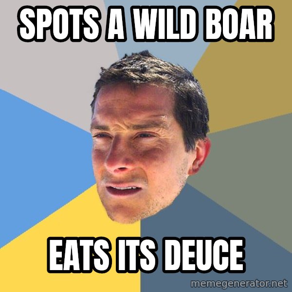 Bear Grylls meme: spots a wild boar / eats its deuce