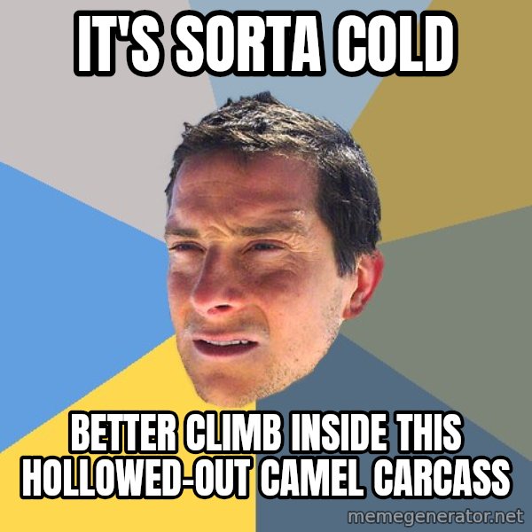Bear Grylls meme: It's Sorta Cold / Better Climb inside this hollowed-out camel Carcass