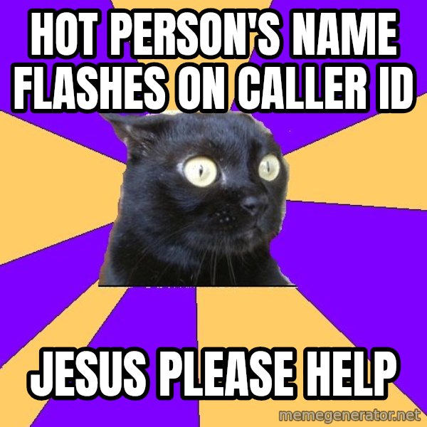 Anxiety Cat meme: HOT PERSON'S NAME FLASHES ON CALLER ID / JESUS PLEASE HELP
