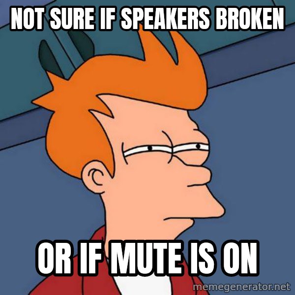 Futurama Fry meme: not sure if speakers broken / or if mute is on