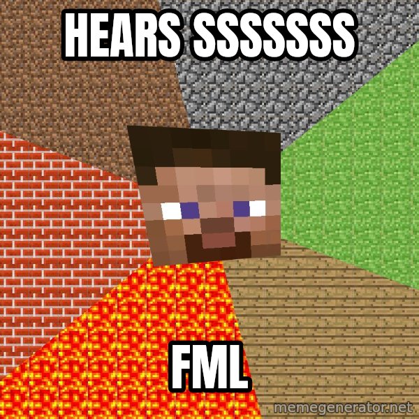 Minecraft Guy meme: hears sssssss / fml