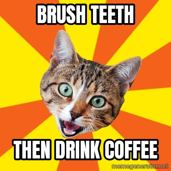 Bad Advice Cat meme: brush teeth / then drink coffee