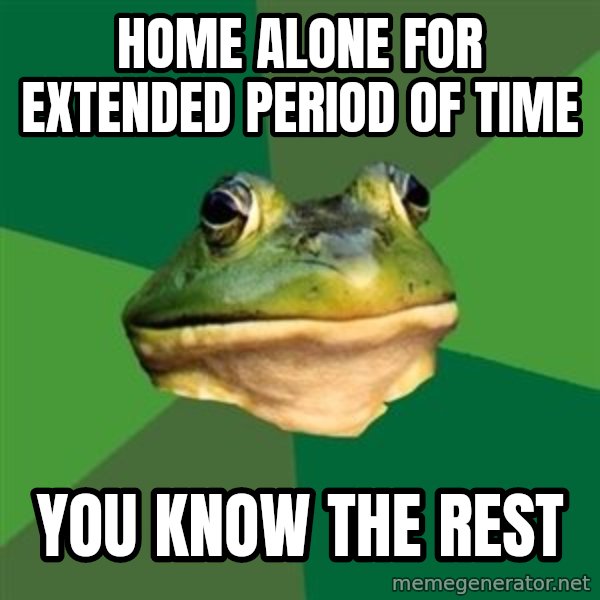 Foul Bachelor Frog meme: home alone for extended period of time / you know the rest