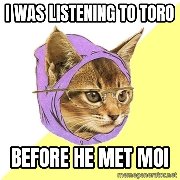 Hipster Kitty meme: i was listening to toro / before he met moi