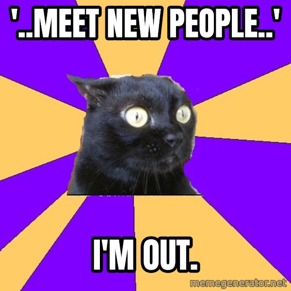 Anxiety Cat meme: '..meet new people..' / i'm out.
