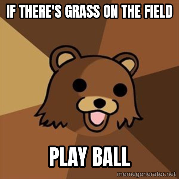 Pedobear meme: if there's grass on the field / play ball