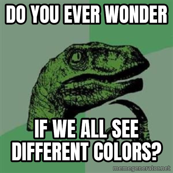 Philosoraptor meme: do you ever wonder / IF WE all SEE DIFFERENT COLORS?