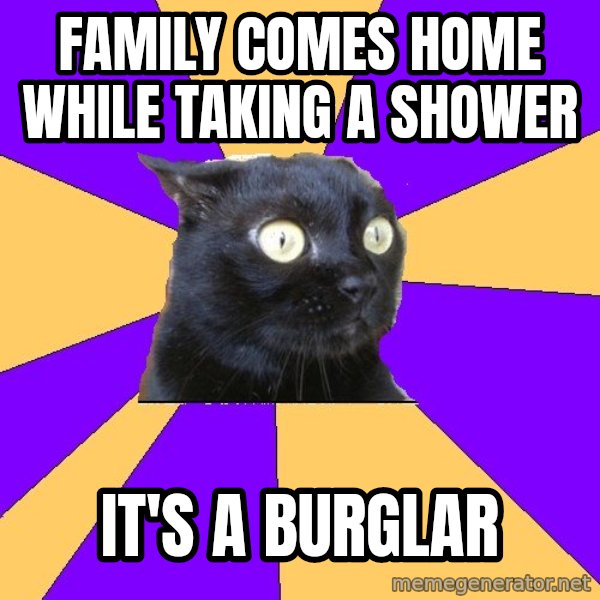 Anxiety Cat meme: family comes home while taking a shower / it's a burglar
