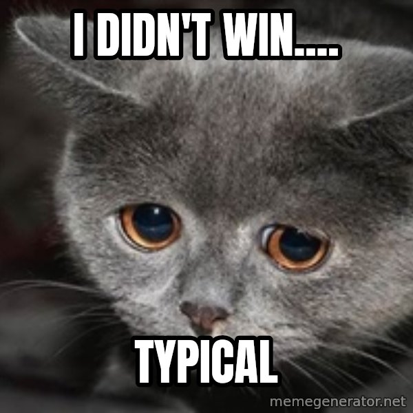 Sadcat meme: I didn't win.... / typical
