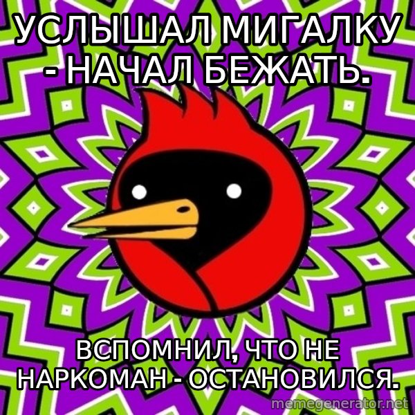 Omsk Crow meme: Услышал мигалку - начал бежать. / Вспомнил, что не наркоман - остановился.