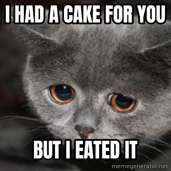 Sadcat meme: I had a caKE FOR YOU / BUT i EATED IT