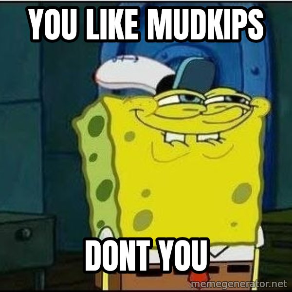 Spongebob Face meme: YOu LIKE MUDKIPS / DONT YOU
