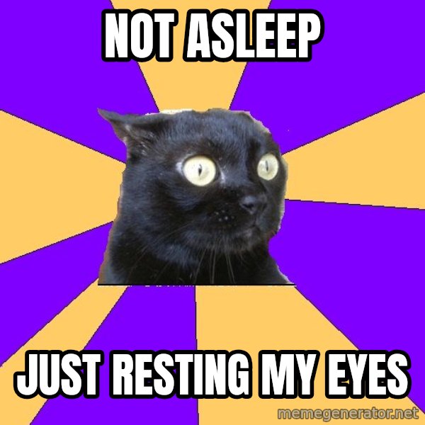 Anxiety Cat meme: Not asleep / just resting my eyes