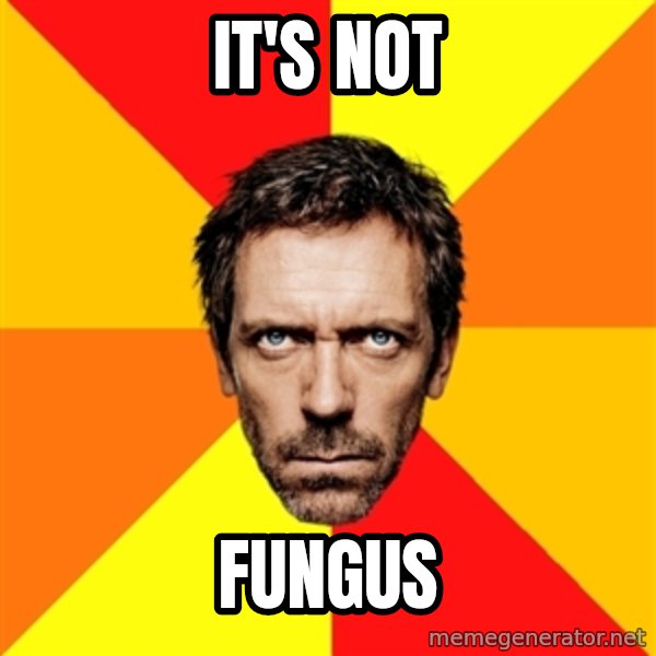 Diagnostic House meme: IT's not / Fungus