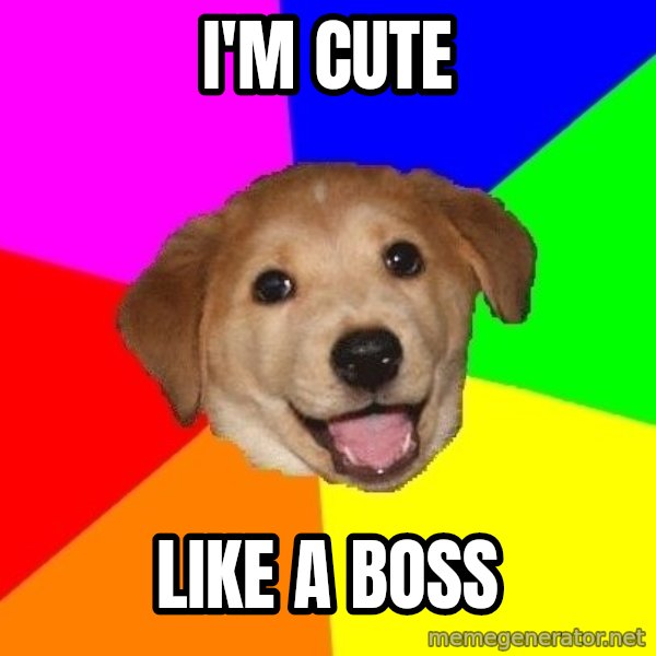 Advice Dog meme: I'm cute / like a boss