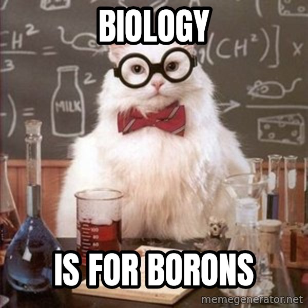 Chemistry Cat meme: biology / is for borons