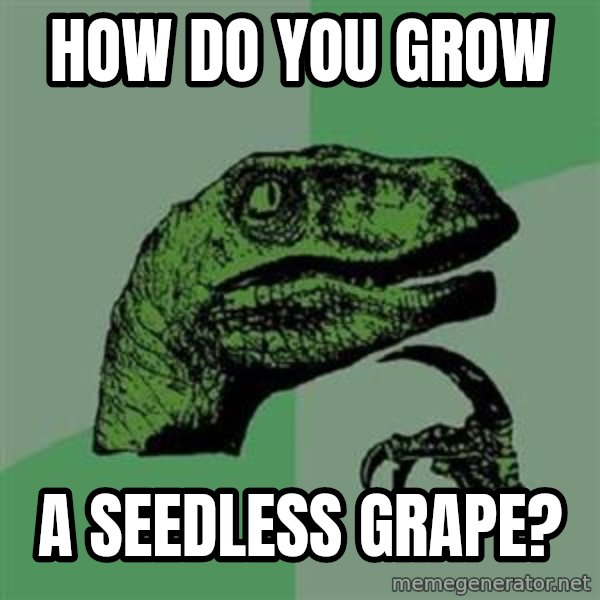 Philosoraptor meme: How do you grow / a seedless grape?
