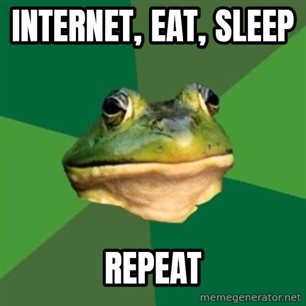 Foul Bachelor Frog meme: Internet, eat, sleep / Repeat