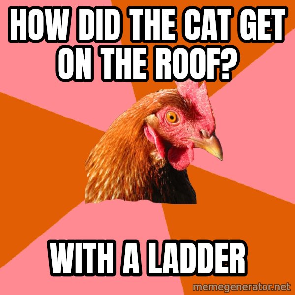 Anti Joke Chicken meme: how did the cat get on the roof? / with a ladder