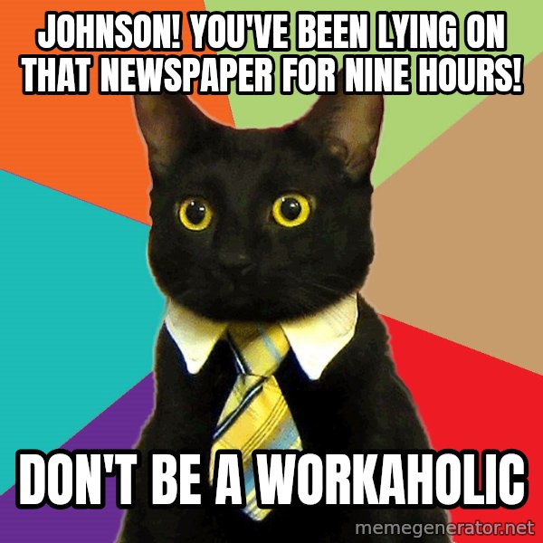 Business Cat meme: Johnson! You've been lying on that newspaper for nine hours! / Don't be a workaholic