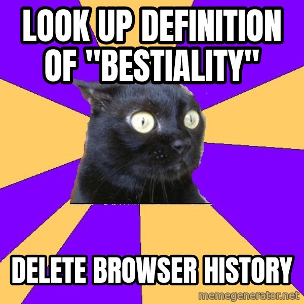 Anxiety Cat meme: look up definition of "bestiality" / delete browser history