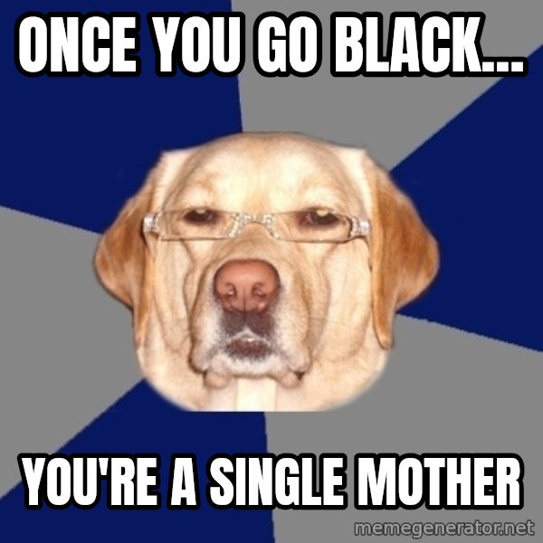 Racist Dog meme: once you go black... / you're a single mother