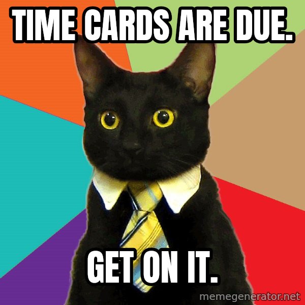 Business Cat meme: Time cards are due. / Get on it.