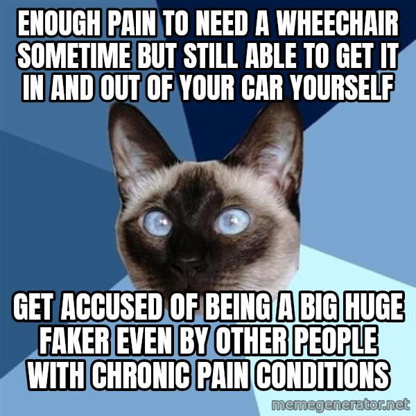 Chronic Illness Cat meme: enough pain to need a wheechair sometime but still able to get it in and out of your car yourself / get accused of being a big huge faker even by other people with chronic pain conditions