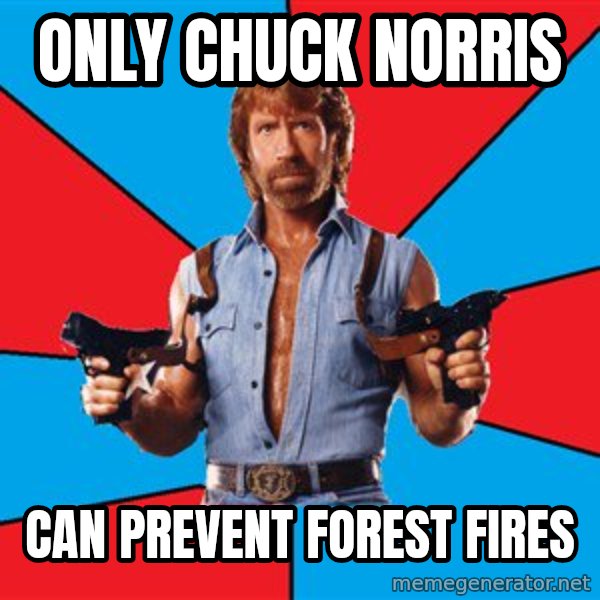 Chuck Norris  meme: Only chuck norris / can prevent forest fires